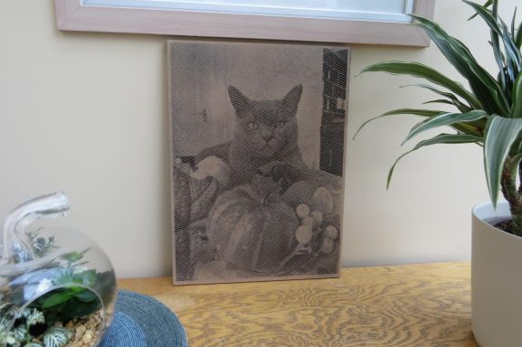 A black and white artwork of a cat resting among cushions and flowers.